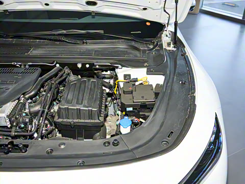 2025�� ���� Plus ��������