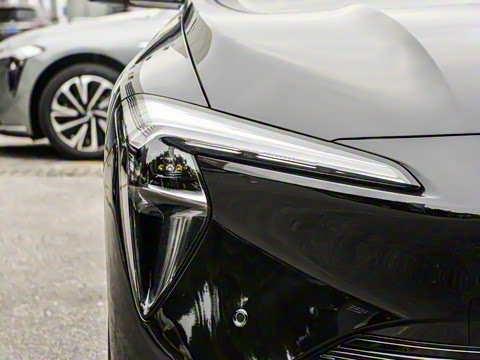 2025�� ������