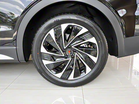 2025�� 2.0T PHEV ���������� 7��