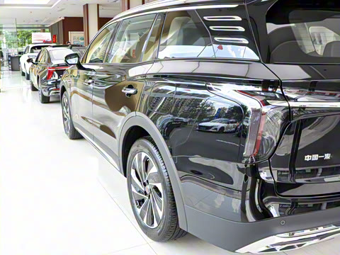 2025�� 2.0T PHEV ���������� 7��