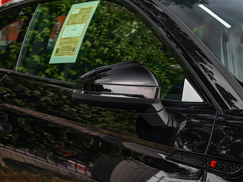 2024�� RS 5 2.9T Coupe ȼ���