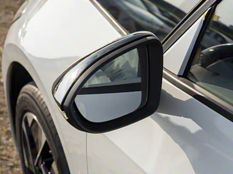 2026�� ������ ���ǰ�