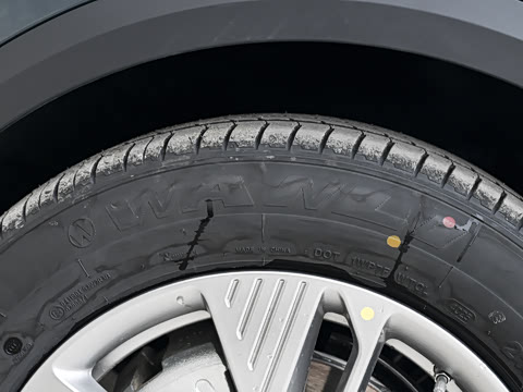 2025�� 565km ������