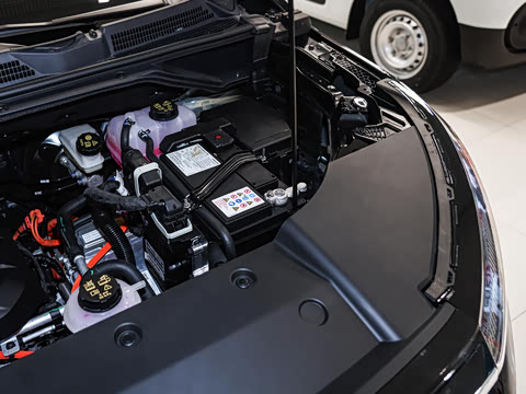 2025�� �Ŀ� �콢��