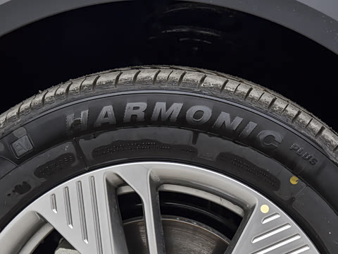 2025�� 445km ���ð�