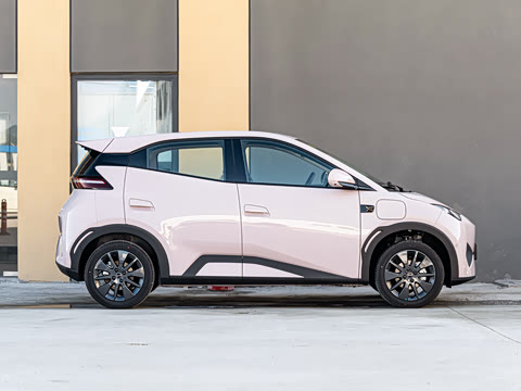 2026�� 305km ���ɰ�
