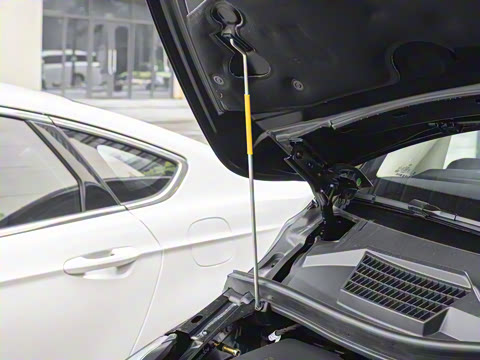 2025�� 2.0T ��Ӣ�� 7��