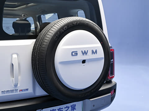 2026�� 255km ������