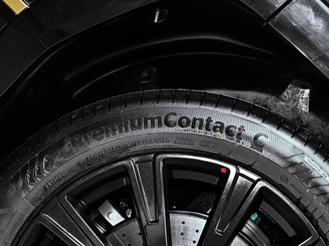 2025�� ������