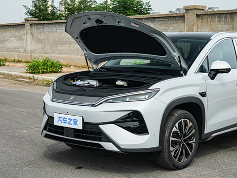 2026�� DM-i 310KM ׿Խ��