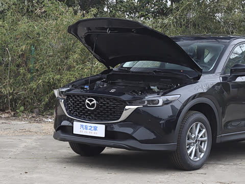 2025�� 2.0L �Զ�����������