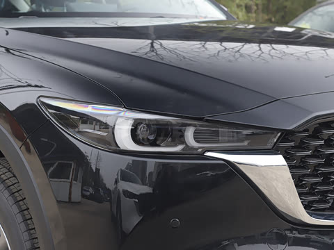 2025�� 2.0L �Զ�����������