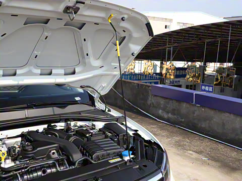 2026�� 300TSI DSG���а�