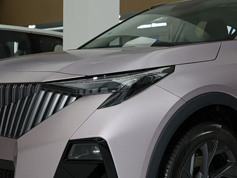 2026�� Ӱ�� 270T ������