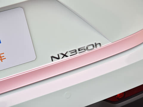 2026�� 350h ��ɫ�޶���