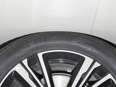 2025�� 600 ��ѡ��