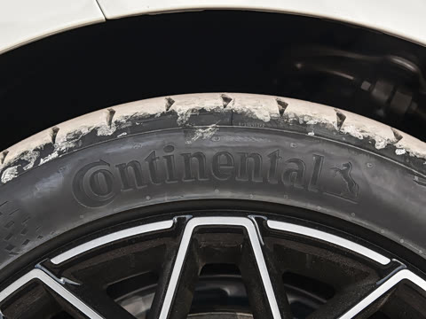 2026�� 103�Ⱥ��� Max��