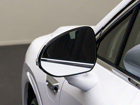 2025�� ���� Max