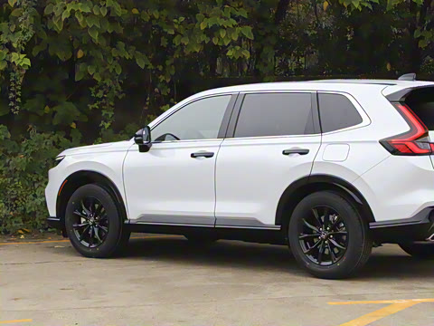 2026�� ȫ��30����ҫ�� 2.0L e:HEV �������