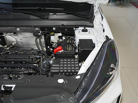 2025�� 1.5L �ֶ���Խ��