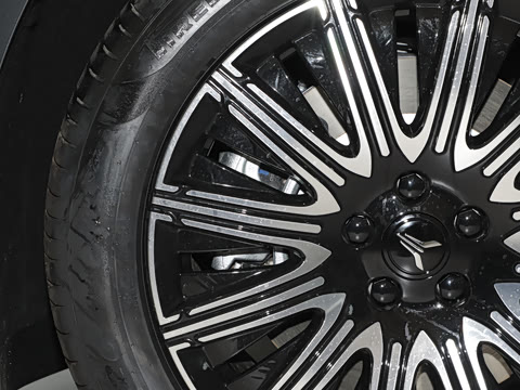 2025�� EV �������������