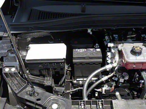 2025�� 550�����״��