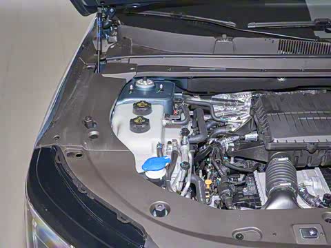 2026�� 121km ������ 5��