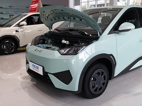 2026�� 305km ������