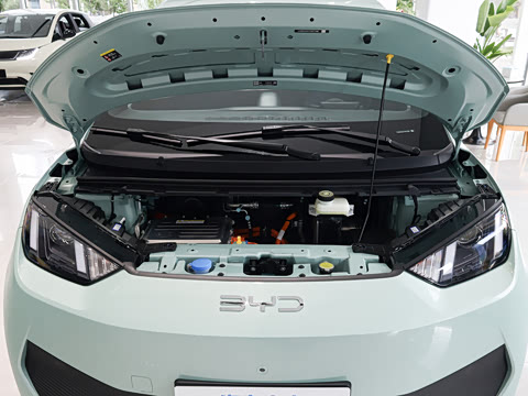 2026�� 305km ������