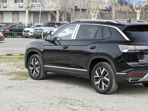 2026�� �Ŀ� 3000������ѡ�� 300TSI