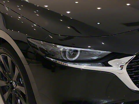 2025�� 2.0L �Զ������