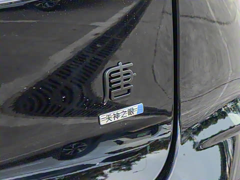 2025�� �Ǽݰ� DM-i 175KM �����