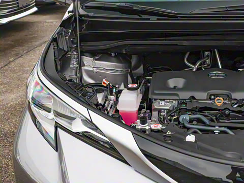 2026�� 2.5L ˫��������������