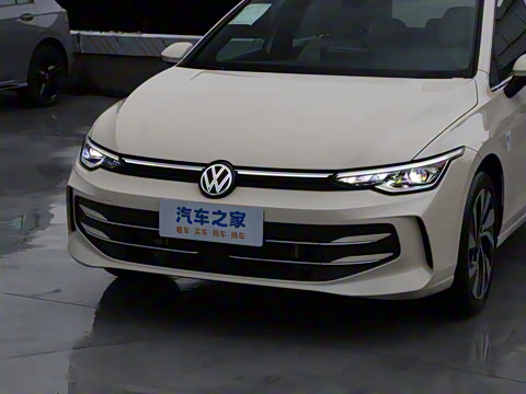 2025�� �Ŀ� 300TSI Pro