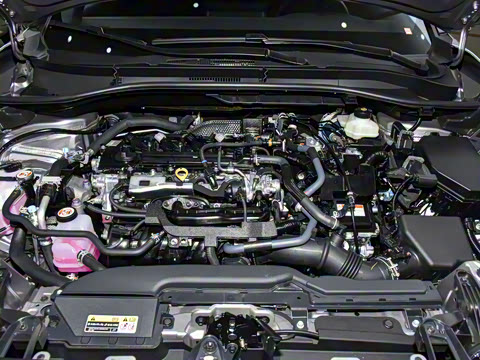 2026�� 2.0L ���ܵ��˫�� �ȷ��