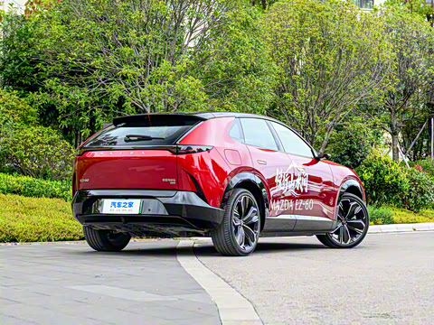 2025�� ����600 Max