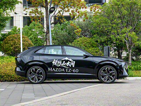 2025�� ����600 Max