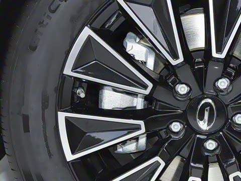 2025�� 205km Pro+�����״��