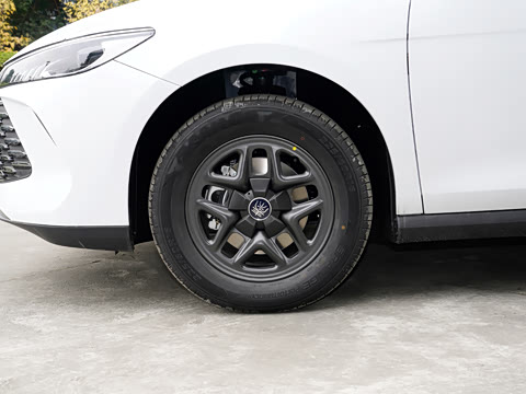 2026�� DM-i 128KM��ȡ��