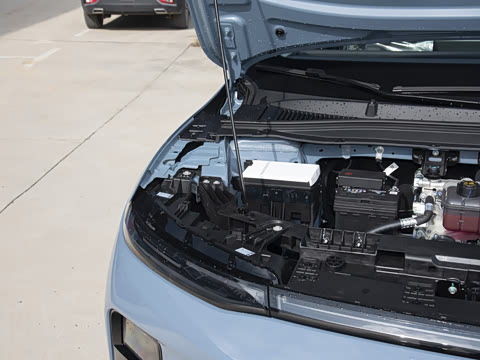 2025�� 650������