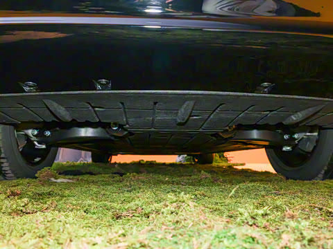 2025�� ���� Max