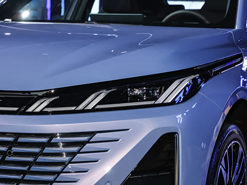 2026�� 1.5L ��϶���