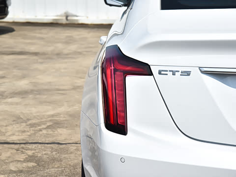 2025�� 28T �����˶���