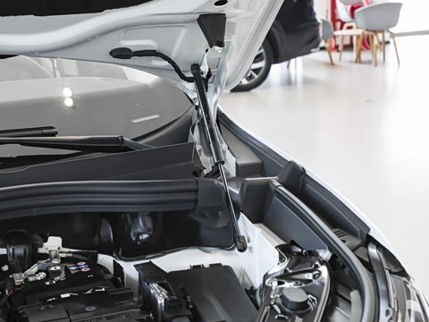 2026�� PRO 300TSI �������ð�
