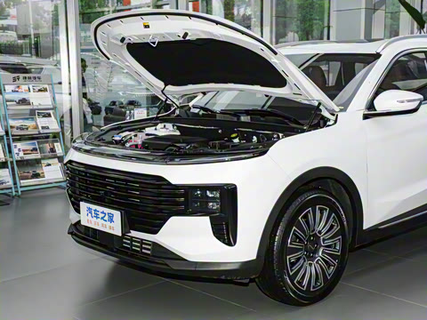 2025�� 1.5T �������Ȱ� 5��