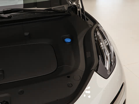 2026��   95������ Max��