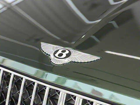 2026�� 4.0T V8 ������ŶȰ�