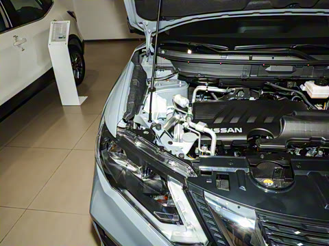 2025�� ���� 2.0L �������İ�