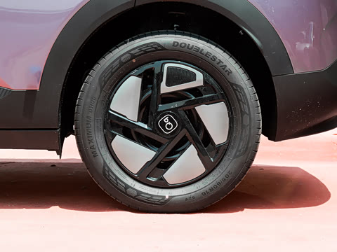 2026�� 310�Ȱ���