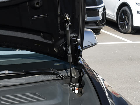 2025�� �Ŀ� ����������������